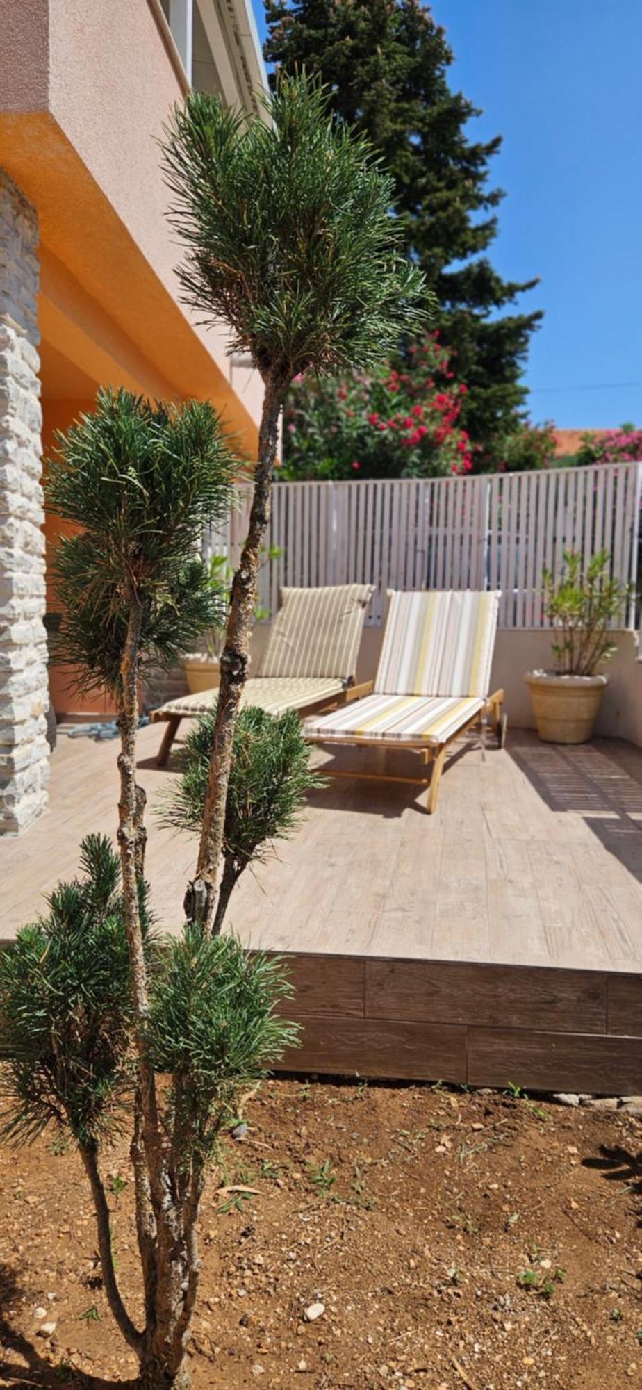 Apartment House Tereza Vodice